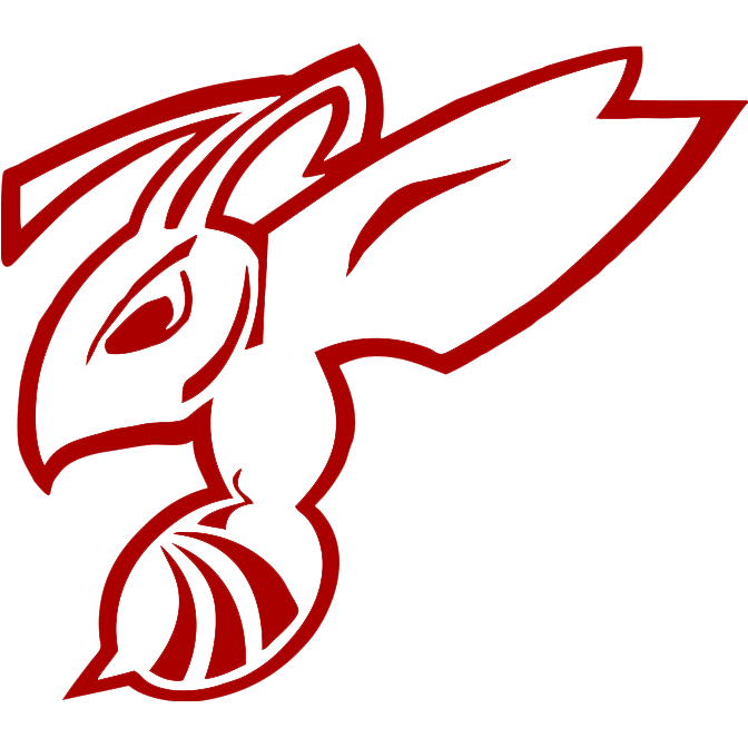 team-logo